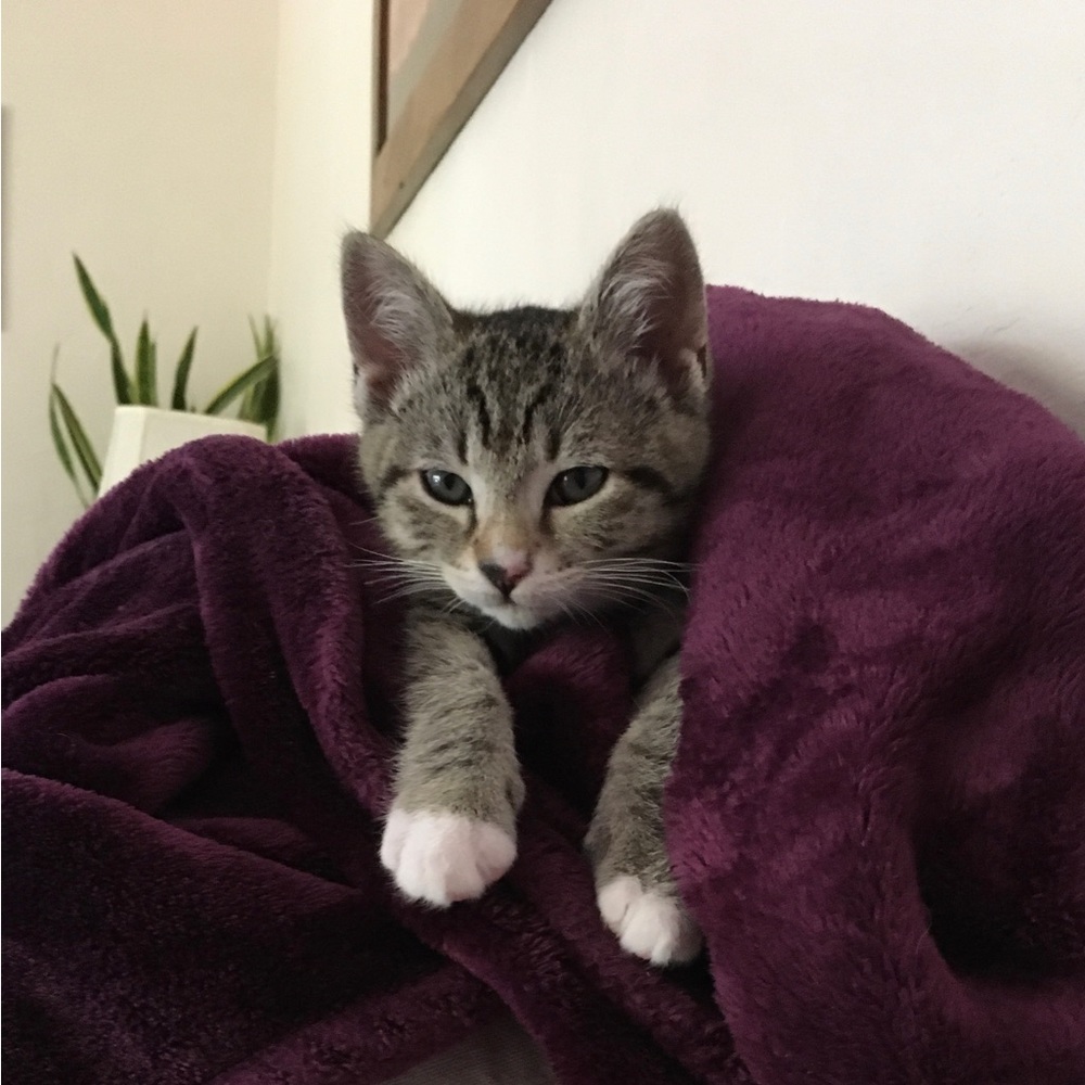 Meet your Posher, Jenny